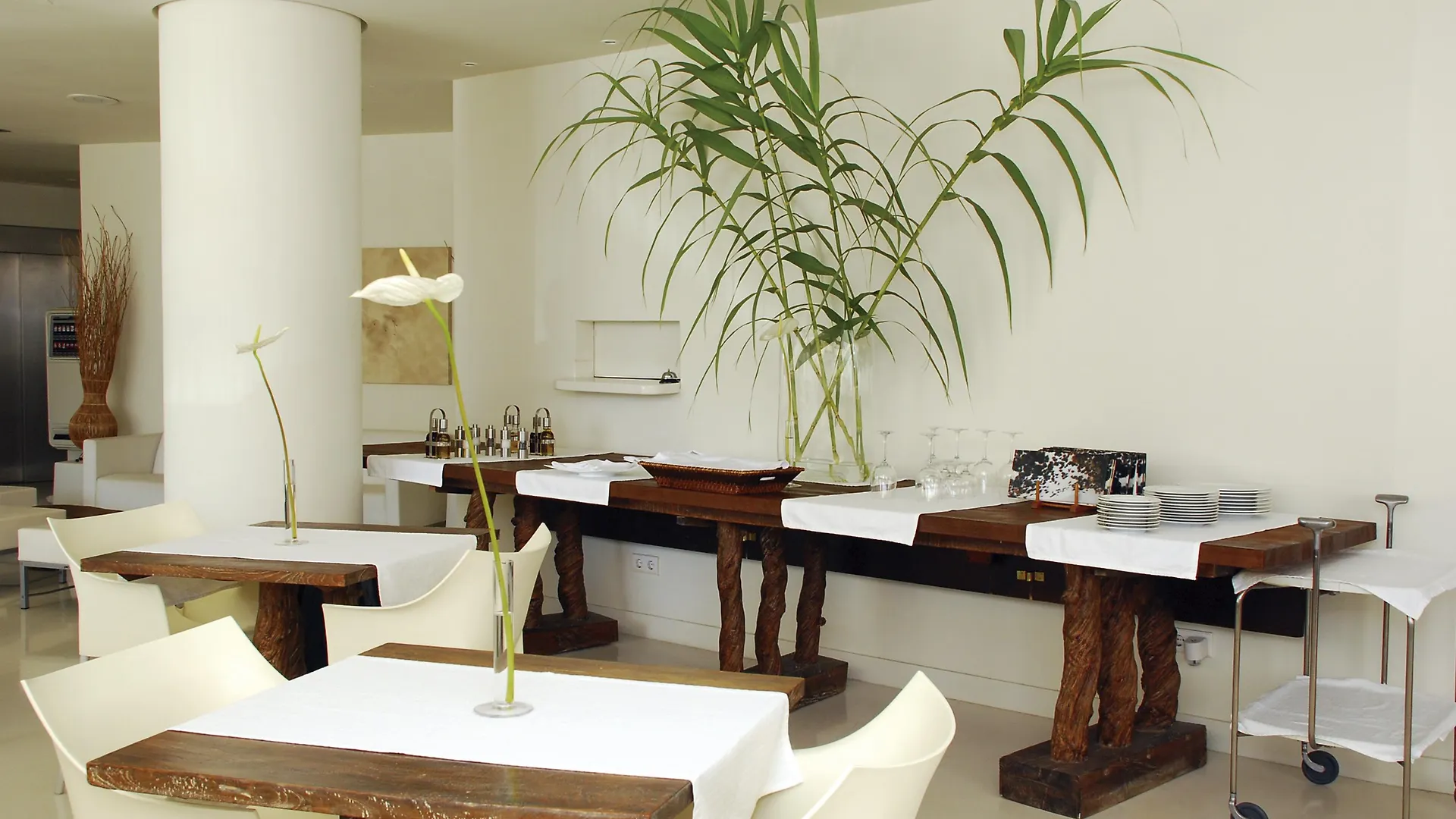 ****  איביזה העיר Pacha Hotel ספרד